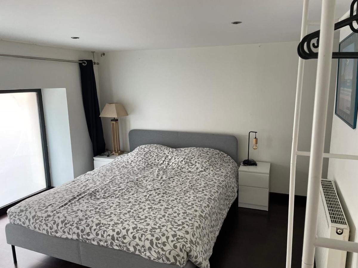 Loft Triplex 3 Chambres Doubles Villeurbanne Extérieur photo